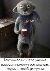 SQknZBmJS44.jpg