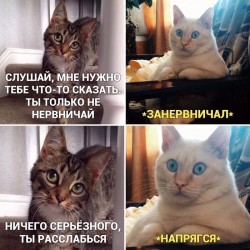 что-то сказать.jpg