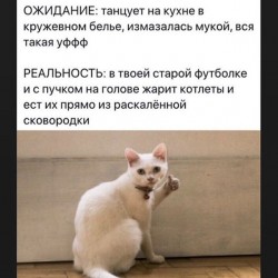 котлеты.jpg