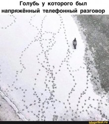 88140318_2730055267042524_27406980884725760_n.jpg