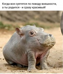 CJFYCj2zzMg.jpg