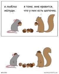 шапочка.jpg