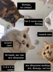 7N4bpIsVKDo.jpg