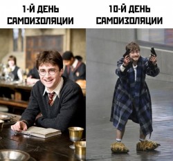 wCpMW3cRgqw.jpg