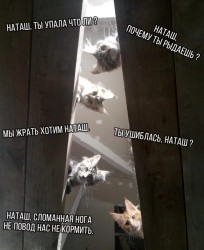 наташ.jpg