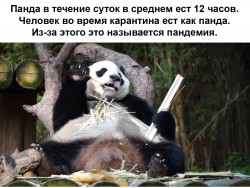 R4T0fEa7R9Y.jpg