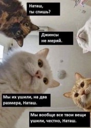 наташ.jpg
