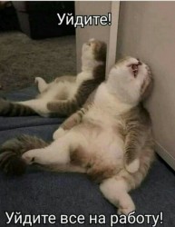 uwLKT40AJsw.jpg
