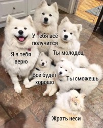 fHdtN2SXErs.jpg