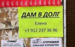 8d49b1de-8c28-4dcf-8036-da0618ac53dd.jpg