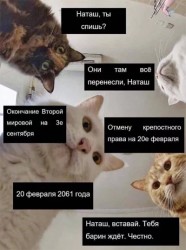 CkmlgftxSic.jpg