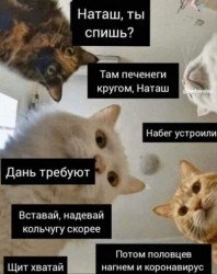 FCdHdxZR3pI.jpg