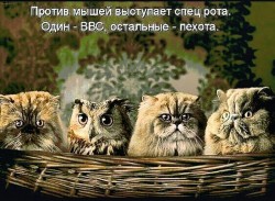 8c176830-aa61-4e0d-8a8d-006dfd456556.jpg
