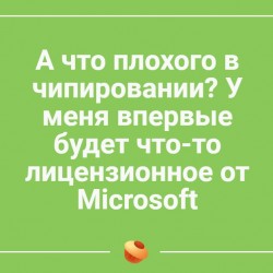 чипирование.jpg