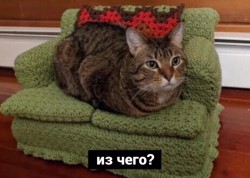 jLQKsj6ejvg.jpg