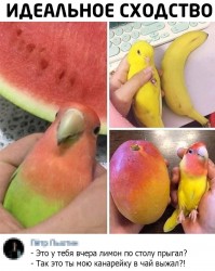 2iHYTE1TkGg.jpg