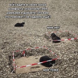 рамки.jpg