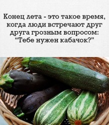 qoN1lQXKH_w.jpg