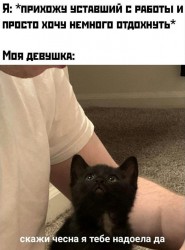 qHvVj8KWNKY.jpg