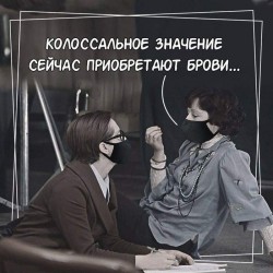 брови.jpg