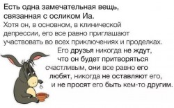 ослик ИА.jpg