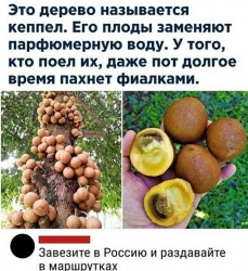 lpHMfLtEND8.jpg