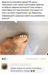 перья.jpg