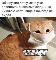 маски.jpg
