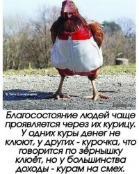 kurocka.jpg