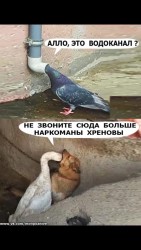 наркоманы.jpg