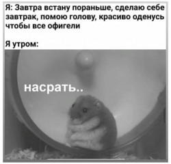 насрать.jpg