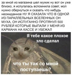 муха.jpg