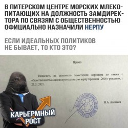Крошик.jpg