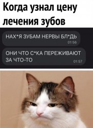 зубы.jpg