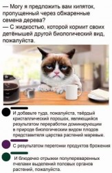кофе с молоком.jpg