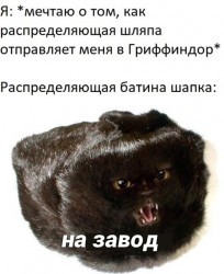 гриффиндор.jpg