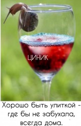 улитка.jpg