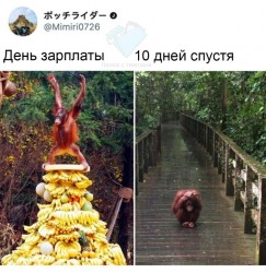 зарплата.jpg