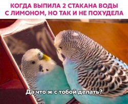 похудела.jpg