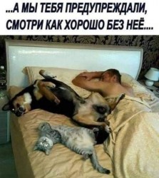 59beecba0ca894453b34d22cb1a22ef8.jpg