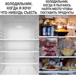 холодильник.jpg