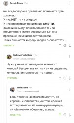 хомяки.jpg