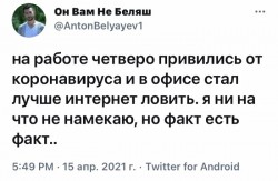 чип.jpg