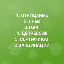 чип.jpg
