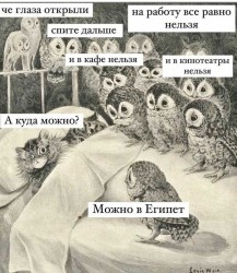 египет.jpg