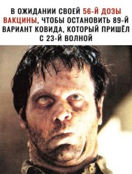 доза.jpg