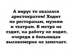 вирус.jpg