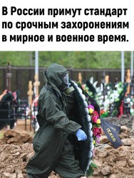 могилы.jpg