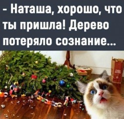 дерево.jpg