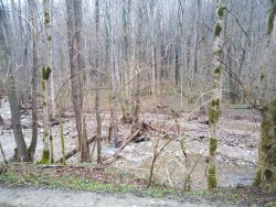 IMG_20220326_105910.jpg